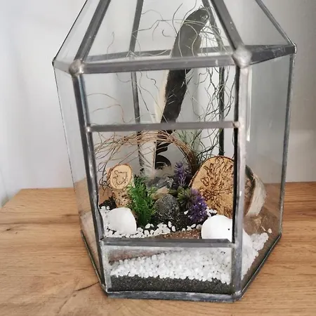 07 Birkenhain - Hof Wiesengrund * Parchtitz