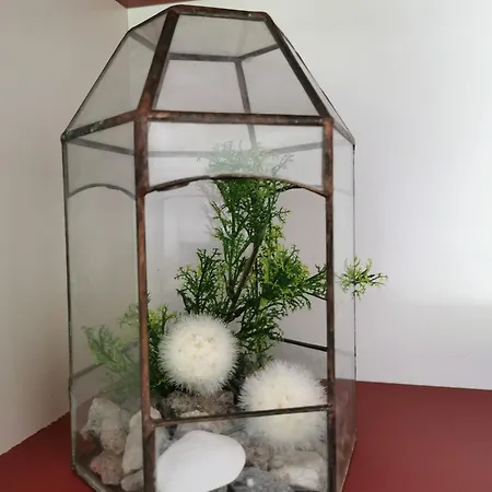 Apartmán 07 Birkenhain - Hof Wiesengrund *