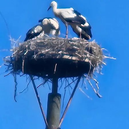 Apartmán 07 Birkenhain - Hof Wiesengrund *