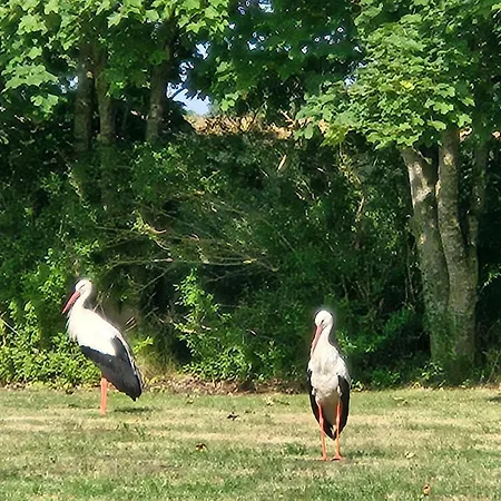07 Birkenhain - Hof Wiesengrund Apartmán Parchtitz