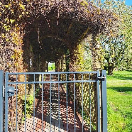 07 Birkenhain - Hof Wiesengrund Apartmán *