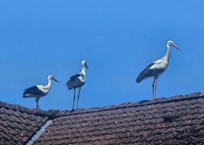 07 Birkenhain - Hof Wiesengrund *
