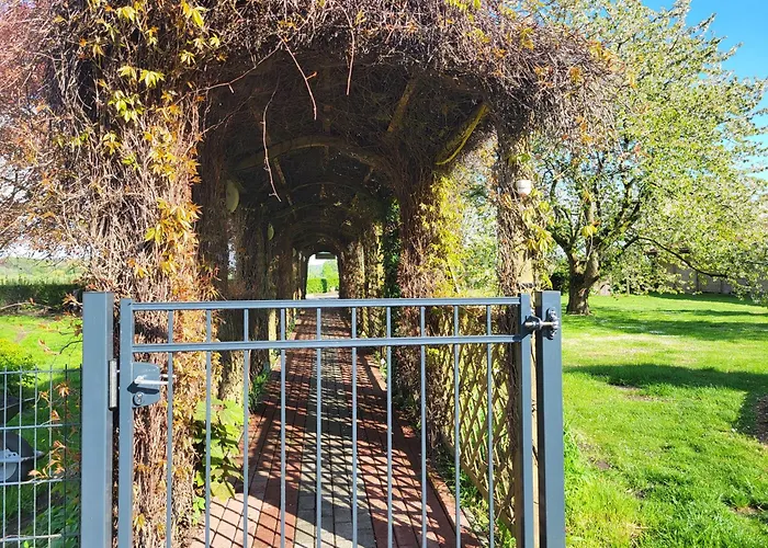 07 Birkenhain - Hof Wiesengrund Lejlighed *